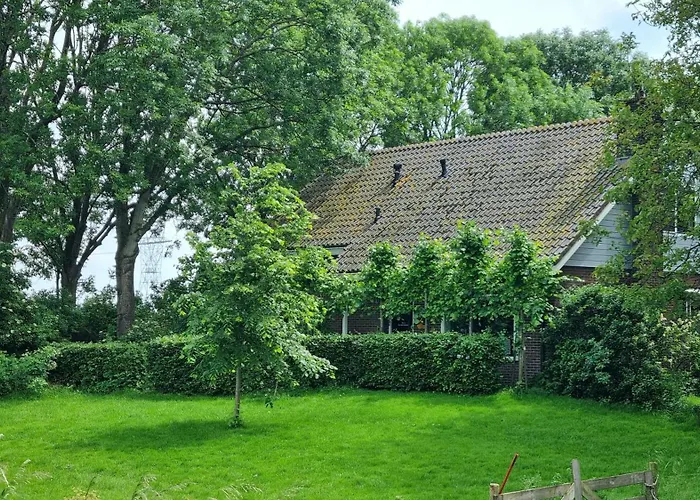 City Farmer Amsterdam , Bed, Bike And Breakfast In Amsterdam
