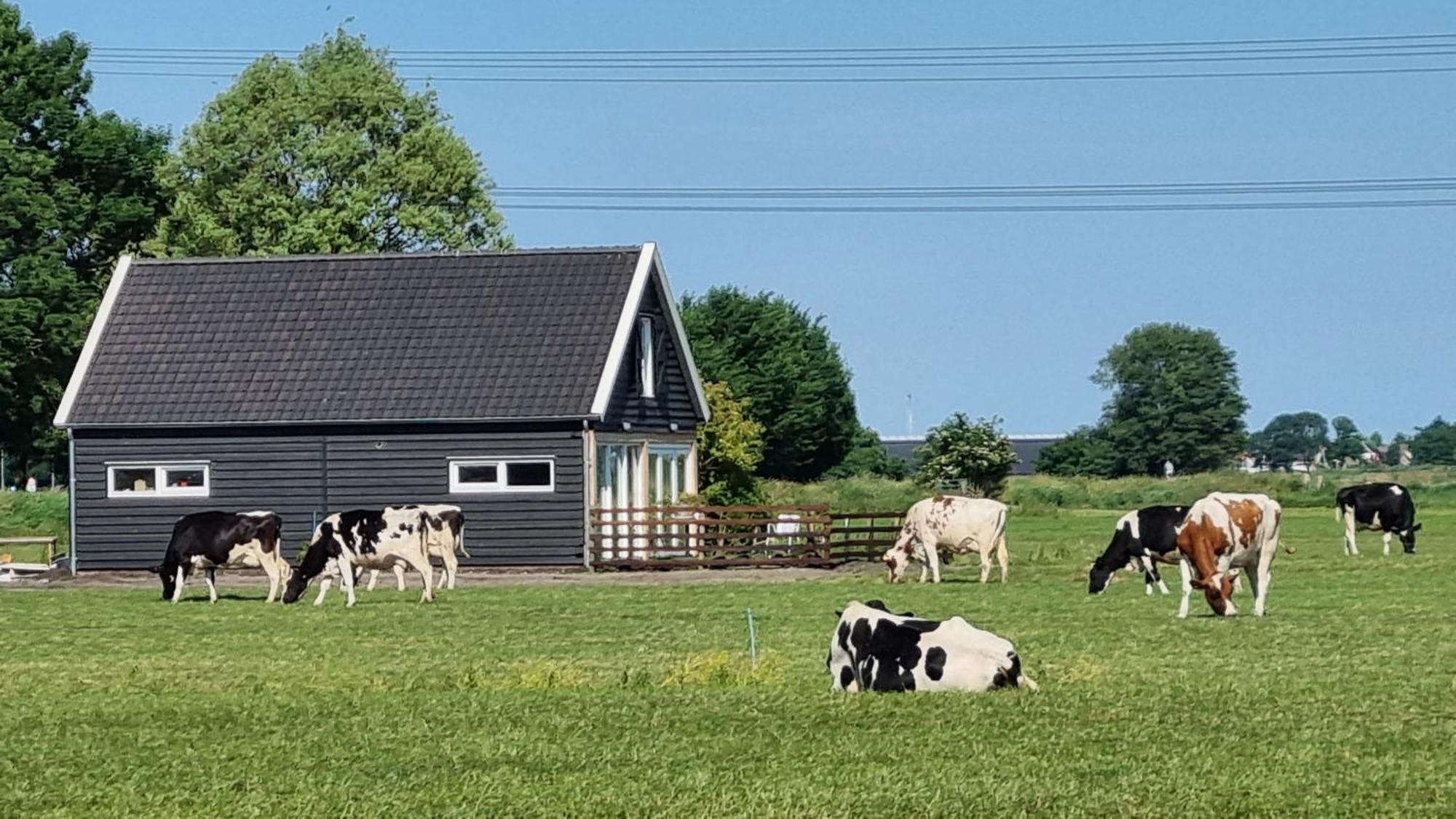 Farmer , Bed, Bike And Breakfast In Frühstückspension